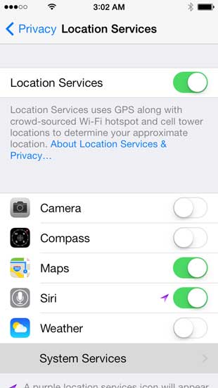 Choose System Services from the Location Services Menu.