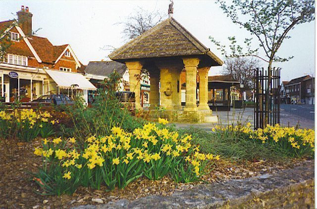 picture of Cranleigh.
